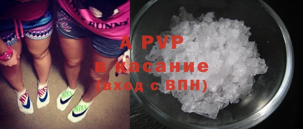 прущие крисы Белокуриха