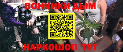 сатива Беслан