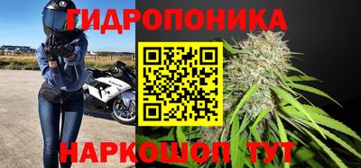 сатива Беслан