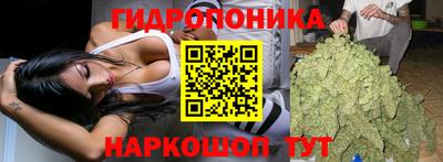 спиды Бийск