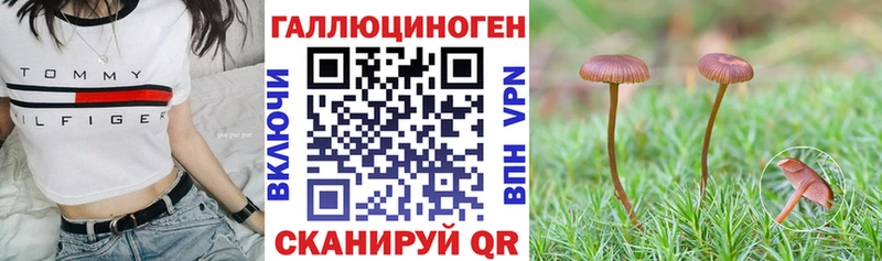 наркотики Вятские Поляны Галлюциногенные грибы Psilocybe