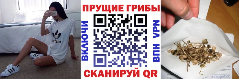 Псилоцибиновые грибы мухоморы Вятские Поляны