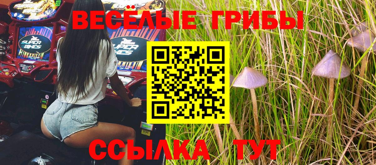 Псилоцибиновые грибы Psilocybe  Вятские Поляны 